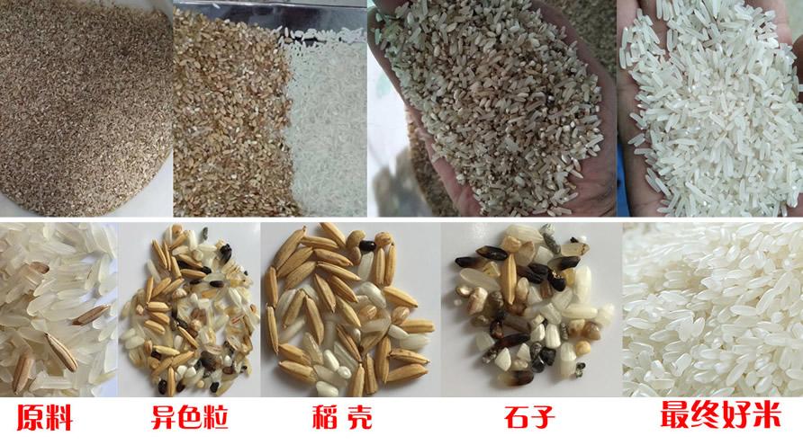 捷泰智能 H 系列黑白 CCD 大米色选机 重塑大米品控的高效之道